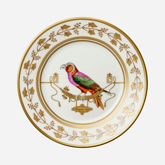 JARDIN D'HIVER ASSIETTE DE PRéSENTATION Perroquet Nestor