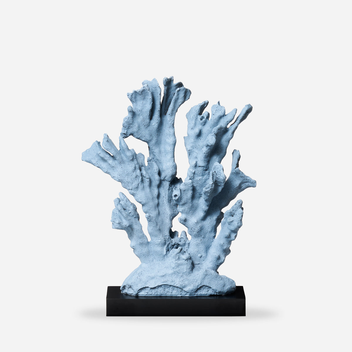 Corail bleu S