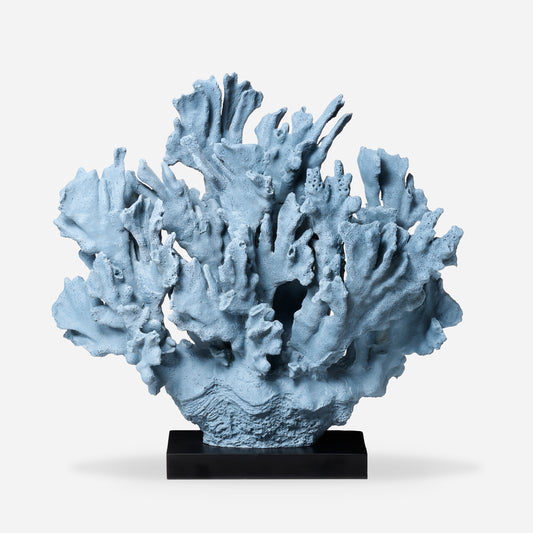 Corail bleu M